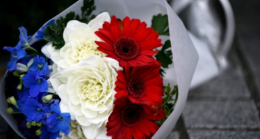 Attacks in Paris and the Effects on Major Currencies