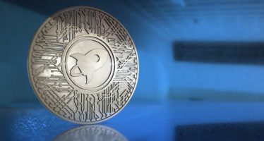 Stellar Trials Starlight, an Instant Payment Channel