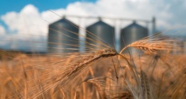 Overstock’s Subsidiary Buys Stake In GrainChain