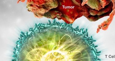 Merck Beats Q4 Estimates On Keytruda Strength