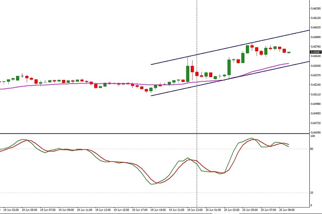 NZD - technical analysis - 20th June 2019