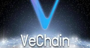 VeChain Unveils Blockchain Tool for Food Sector Management