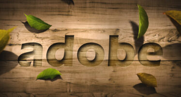 Adobe Stock Hits a New 52-Week High on Robust Q2 Earnings