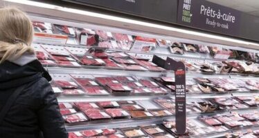 Canadian Wholesale Sales Rebounded by 3.50% m-o-m in May