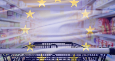 Eurozone Consumer Price Index Increases 5.30% y-o-y in July