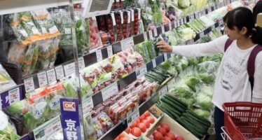 Household Spending In Japan Experienced A Sharp Decline In July